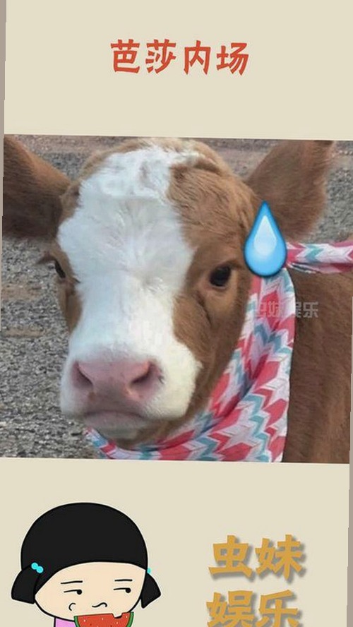 全民吃瓜狂欢背后：智能助手如何让娱乐新闻更有趣？🍉