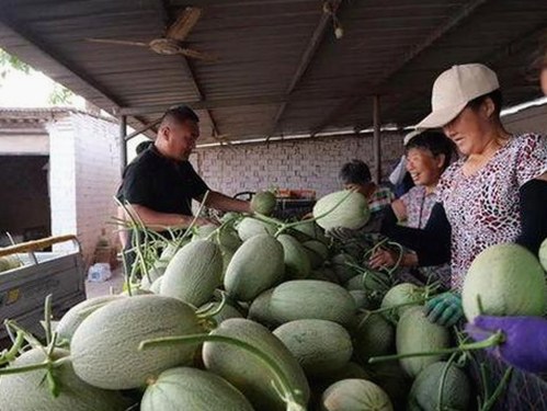 娱乐圈吃瓜盛宴背后：真相揭露与直播风波