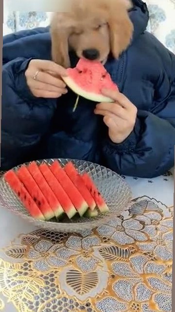 三只羊录音门风波不断，卢文庆与主播潜规则曝光